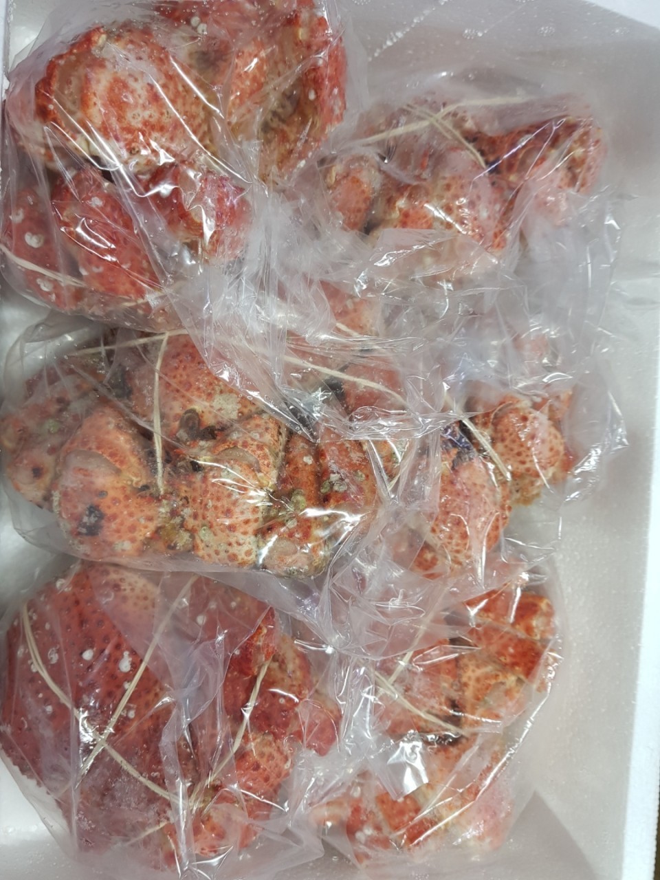 [무료배송]베이비 킹크랩 6마리 3kg 60,000