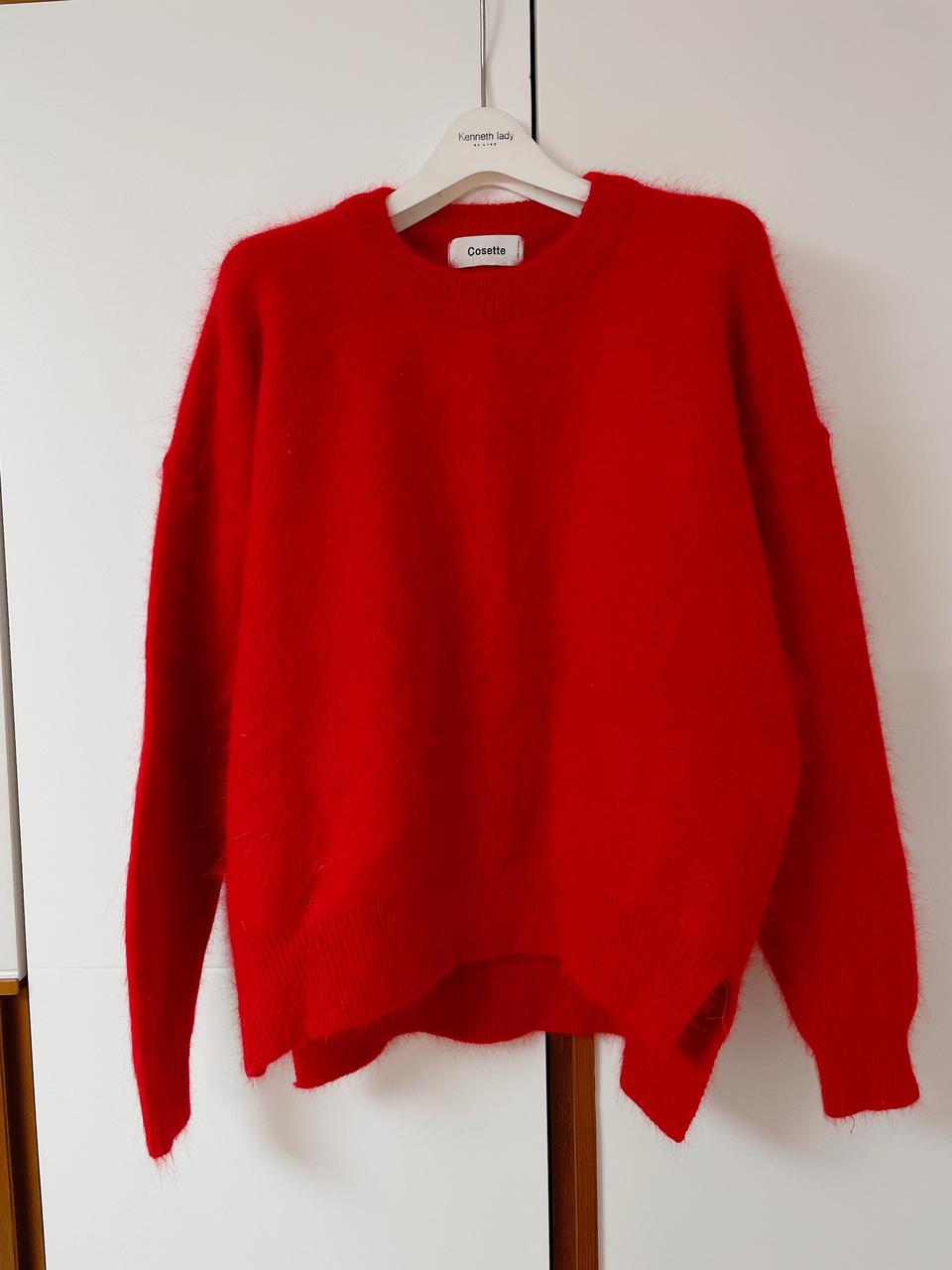 레드앙고라니트