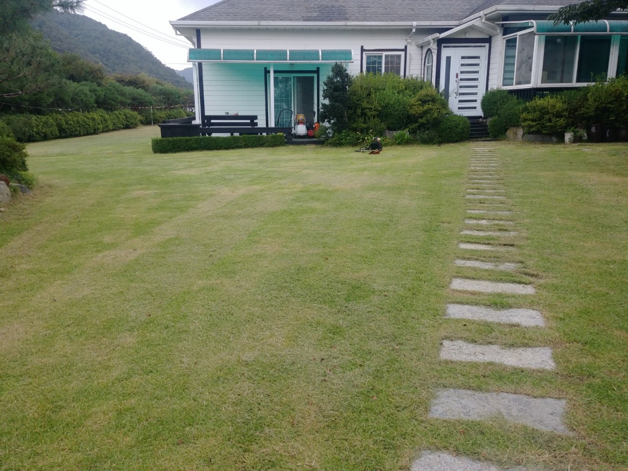 경기 예초 벌초 정원관리