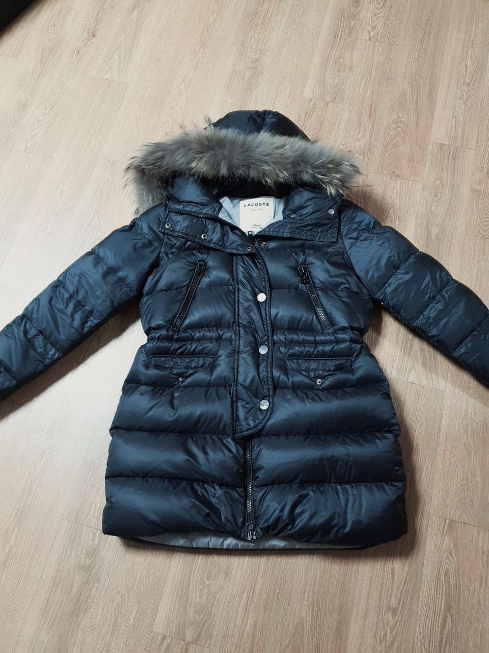 라코스떼 구스 숏 패딩