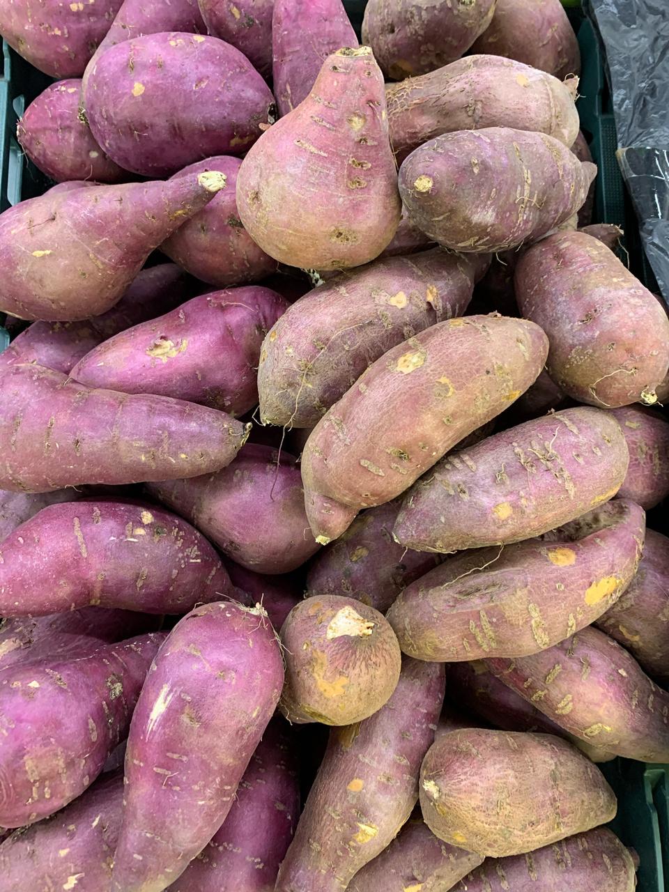 무료배송 꿀 고구마 10kg