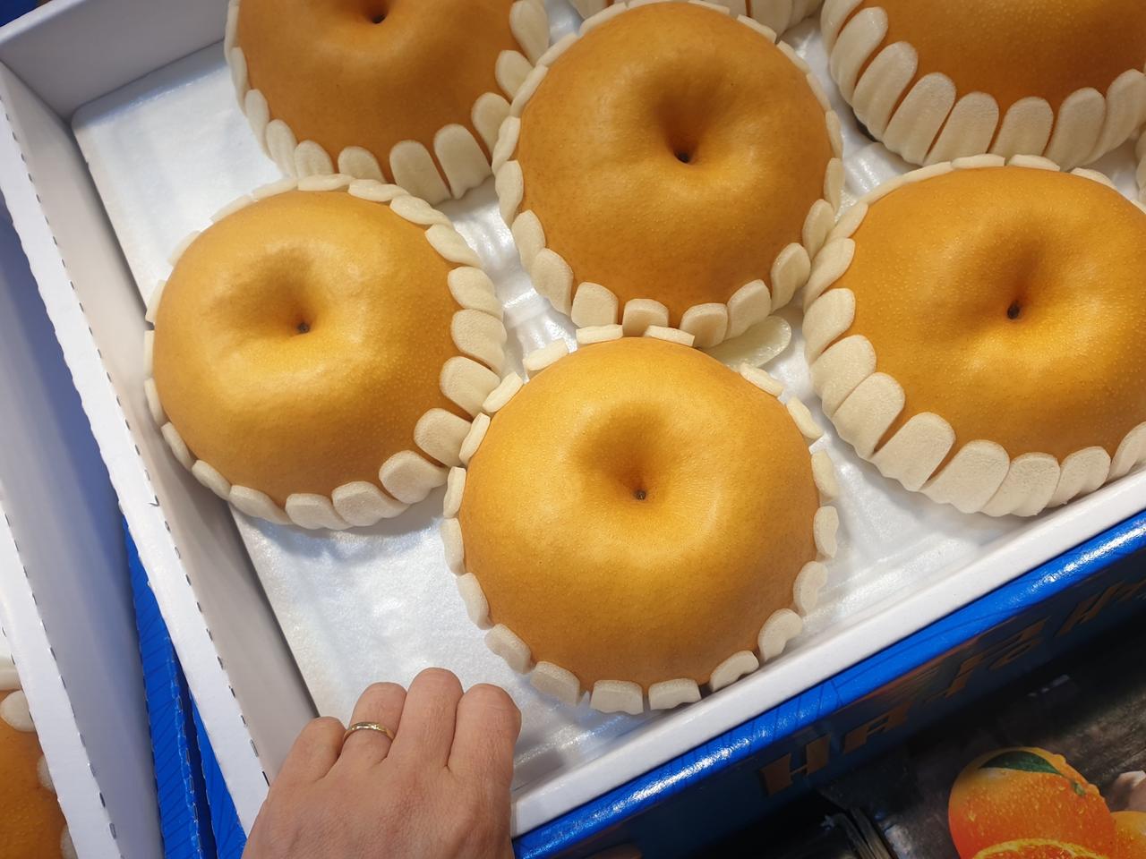 선물용  프리미엄 성환배7.5kg