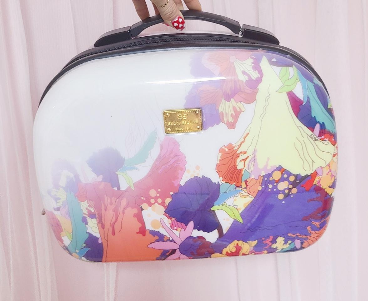 수채화 하드 캐리어