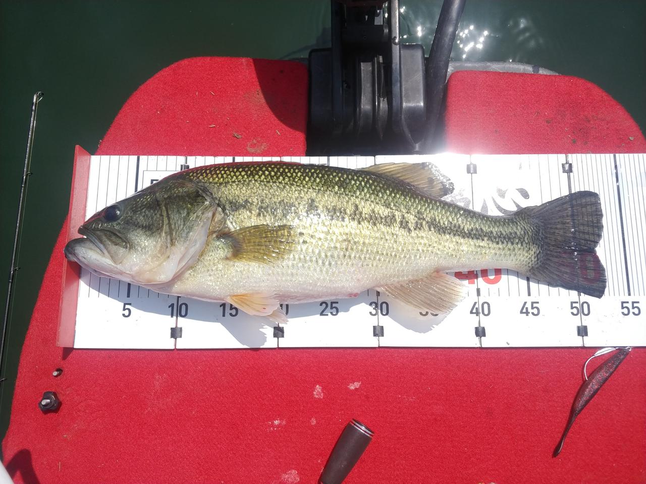 배스낚시 계측자