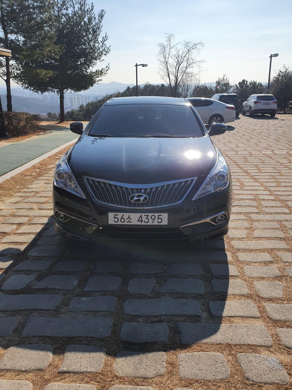 현대 그랜저 HG LPl HG300 장애우