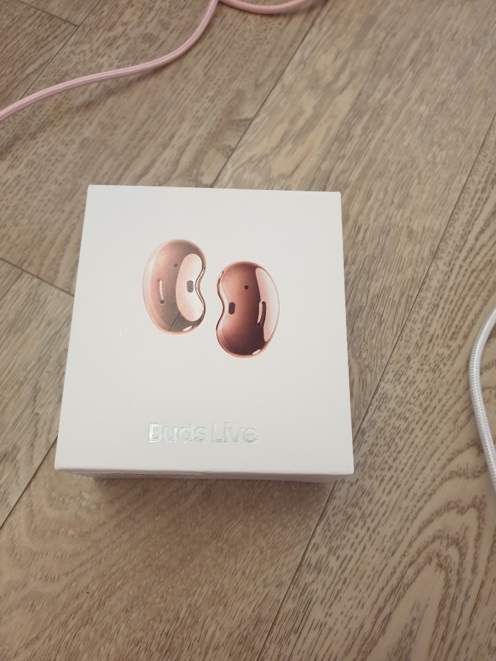 갤럭시 버즈 라이브