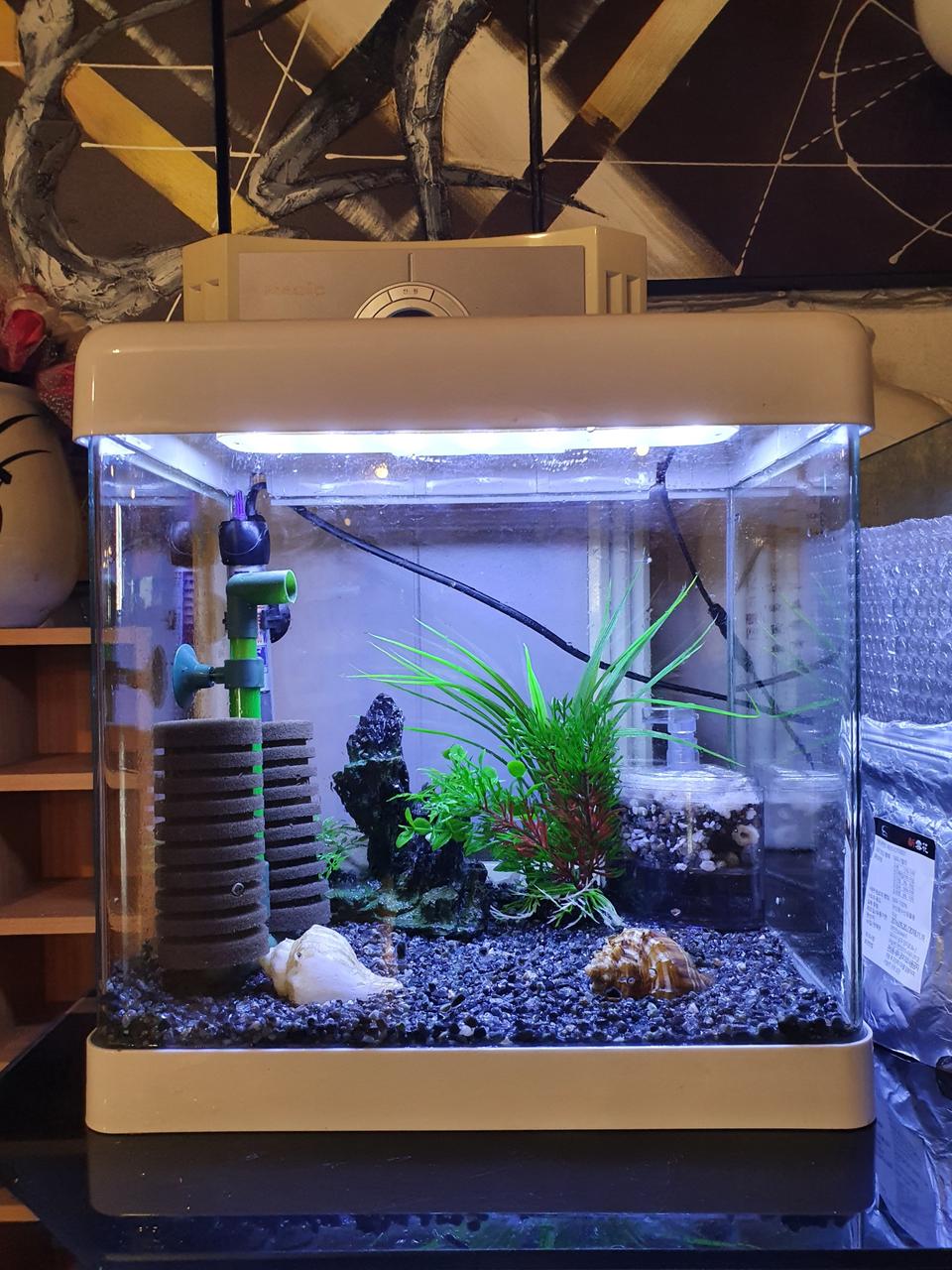 어항세트 풀구성