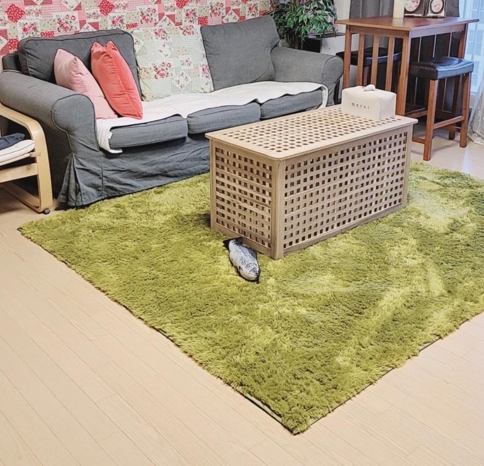 거실 대형 러그  그린