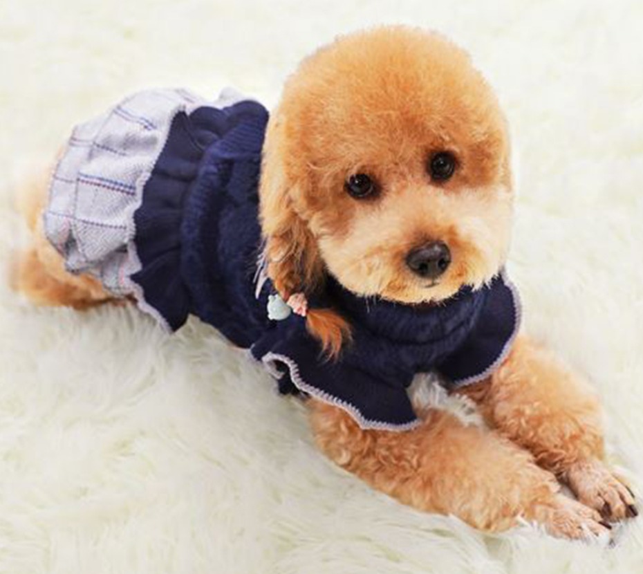 미착용> 강아지 고양이 니트원피스 프릴체크, S