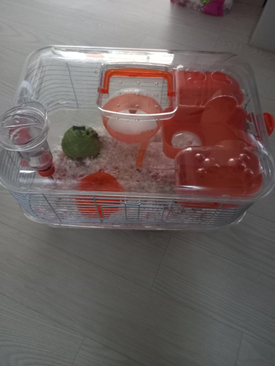 햄스터집판매합니다~