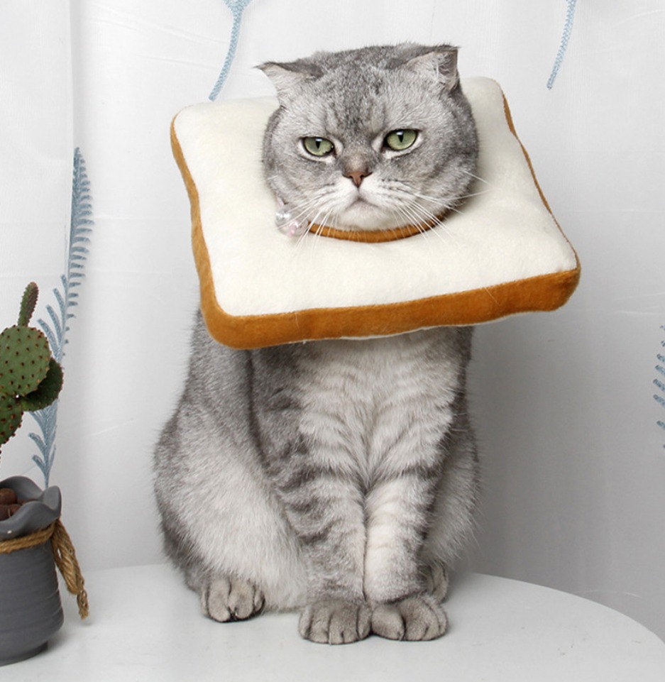 미사용> 식빵 넥카라 넥쿠션, L