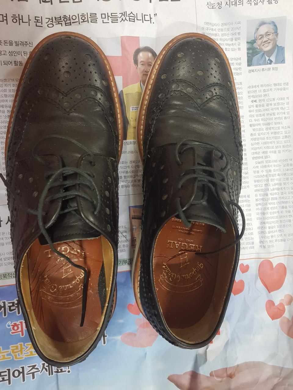 금강 리갈 헤리티지 윙팁 260