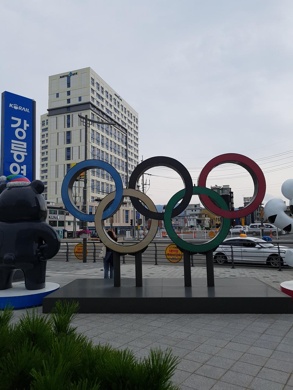 강릉KTX역 블루핀-단기임대 월세/원룸풀옵션/오피스텔