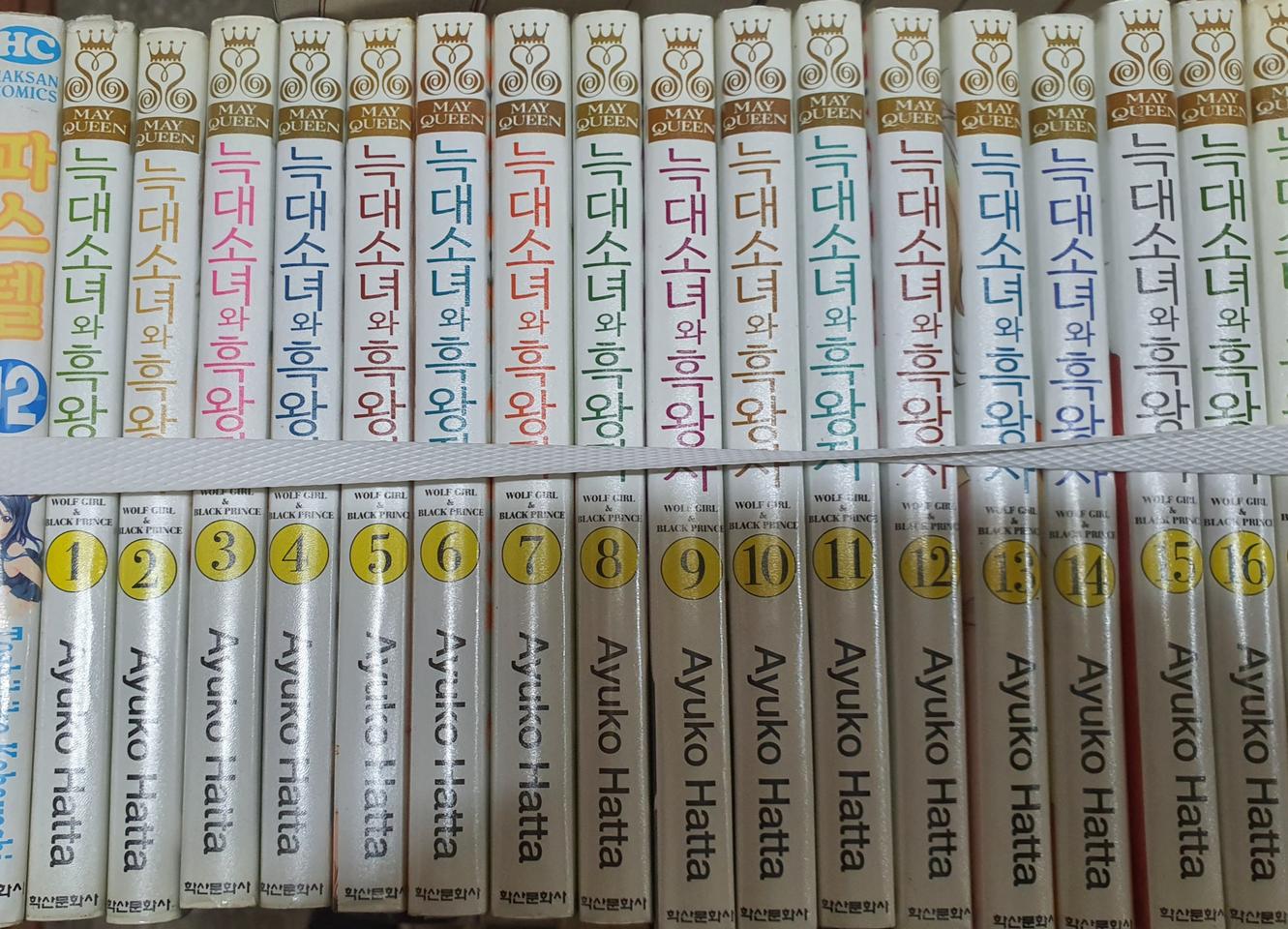 늑대소녀와 흑왕자1-16완