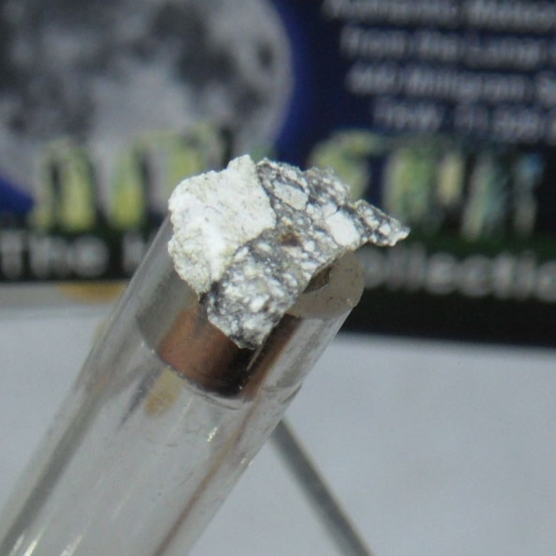 415. 달운석 NWA 5000