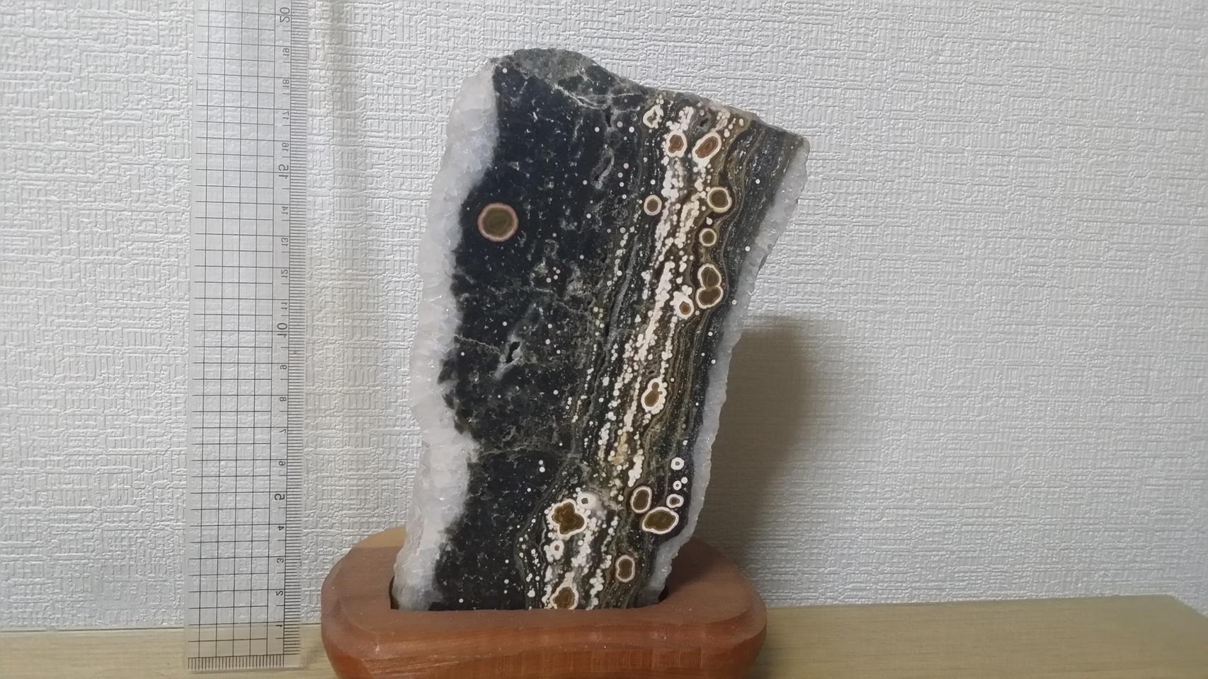 이끼 화석 백수정 복합광물