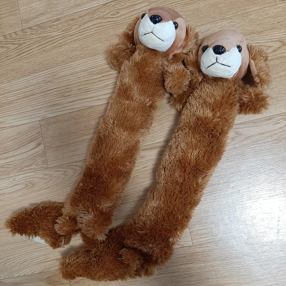 강아지 여성부츠고정