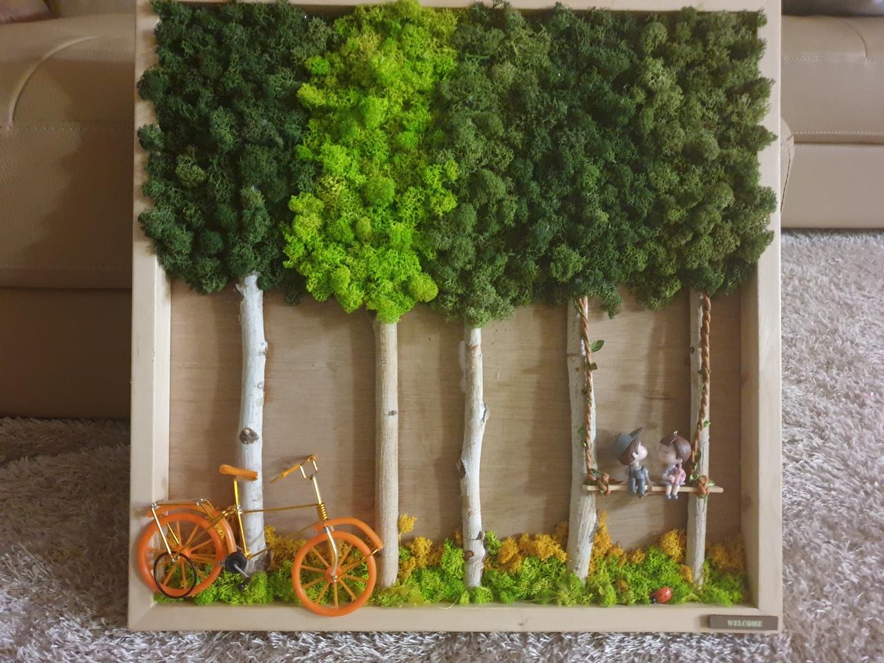 공기정화식물액자/스칸디아모스/친환경이끼/인테리어장식소품/대형사이즈