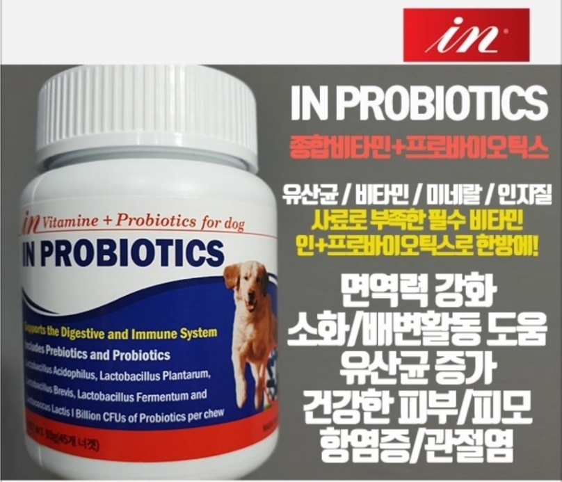 강아지 인 프로바이오틱스 영양제