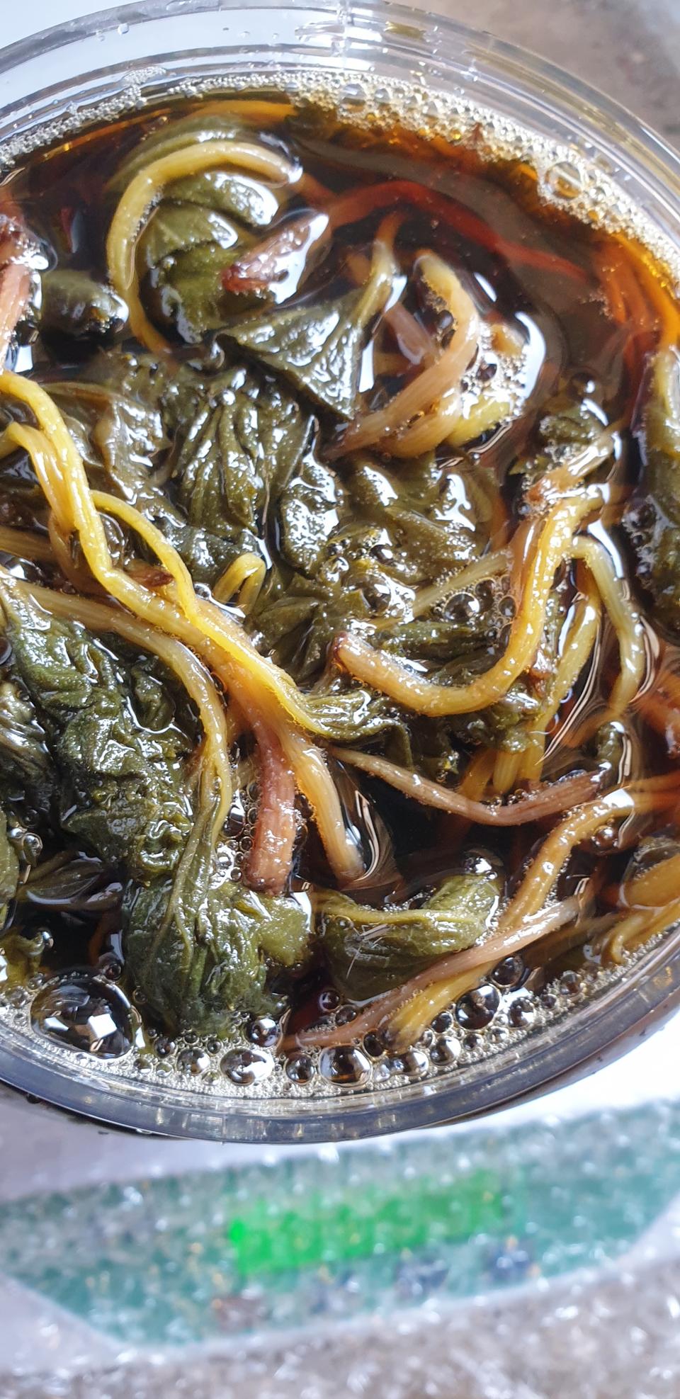 야생)머위장아찌  택ㆍ포 1kg18000원2kg30000원