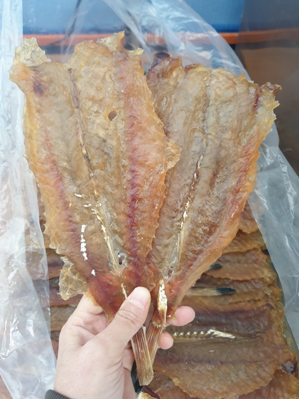 꼬리아귀포1키로