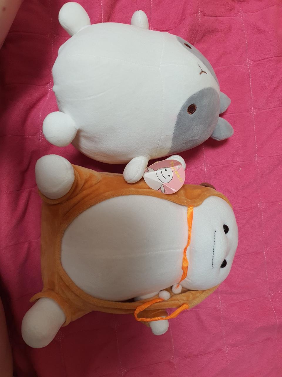 몰랑이 지방이 인형 판매합니다