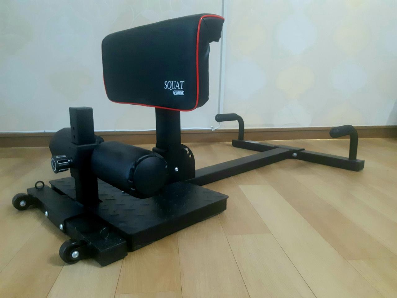 숀리스퀴트운동기구