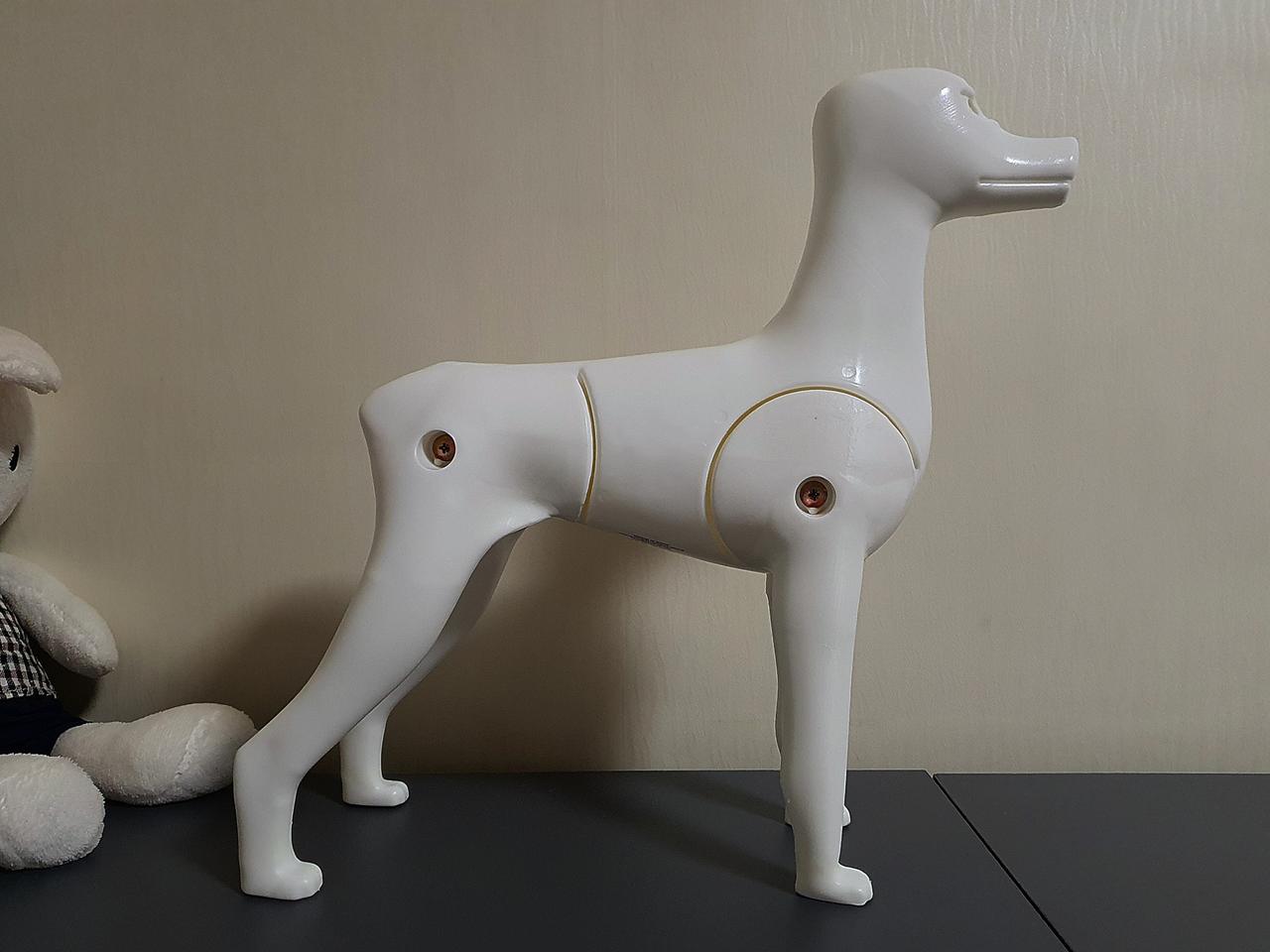 애견미용 도그위그 위그 견체모형