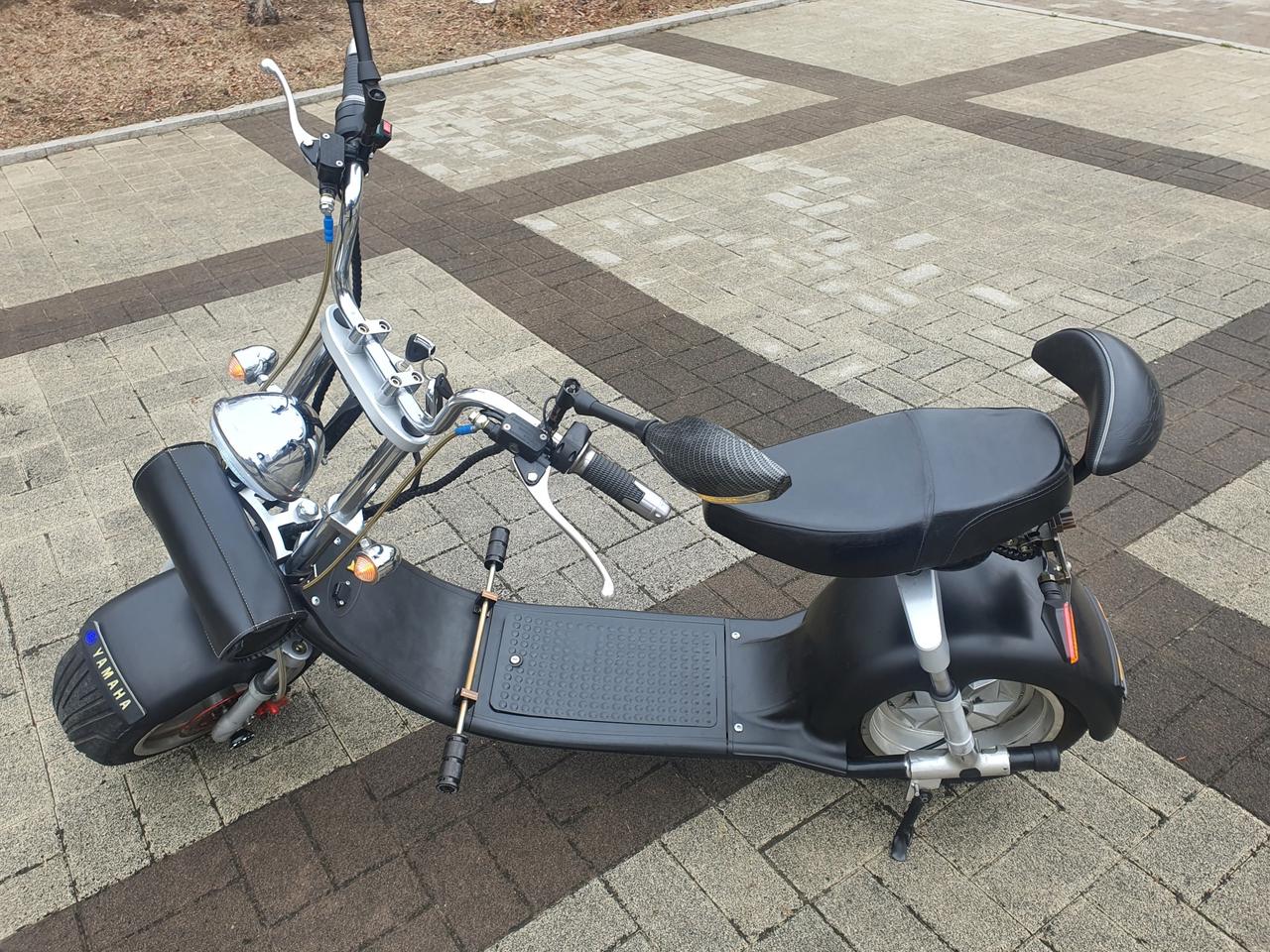 고프리거스트 전동바이크