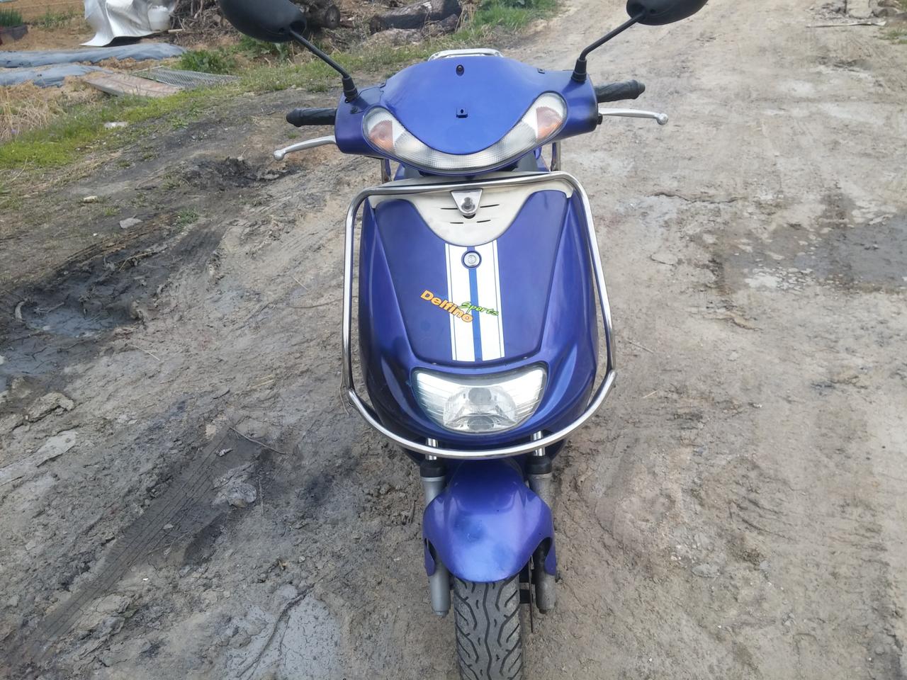 델피노 명차 국산 49만원