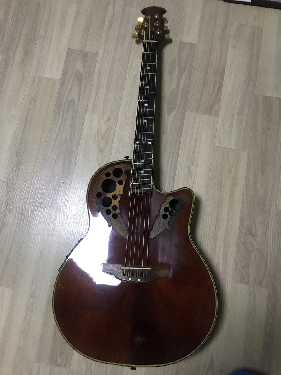 짭펜더 오베이션