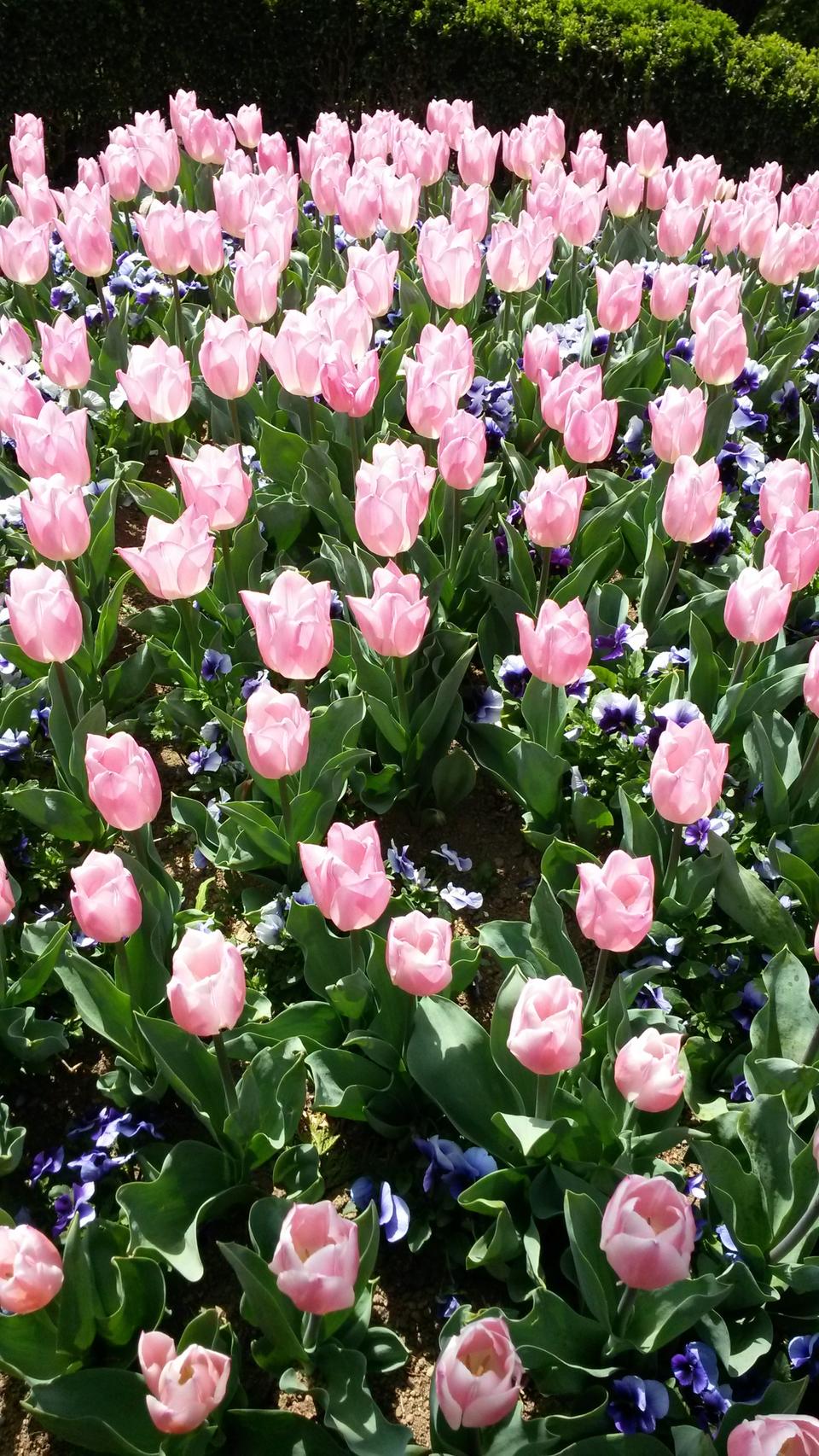 마라톤한글타자기