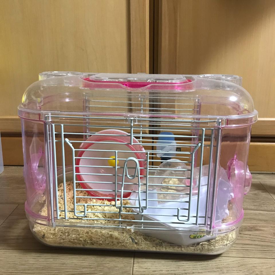 햄스터 키우기 세트(집.먹이.톱밥)