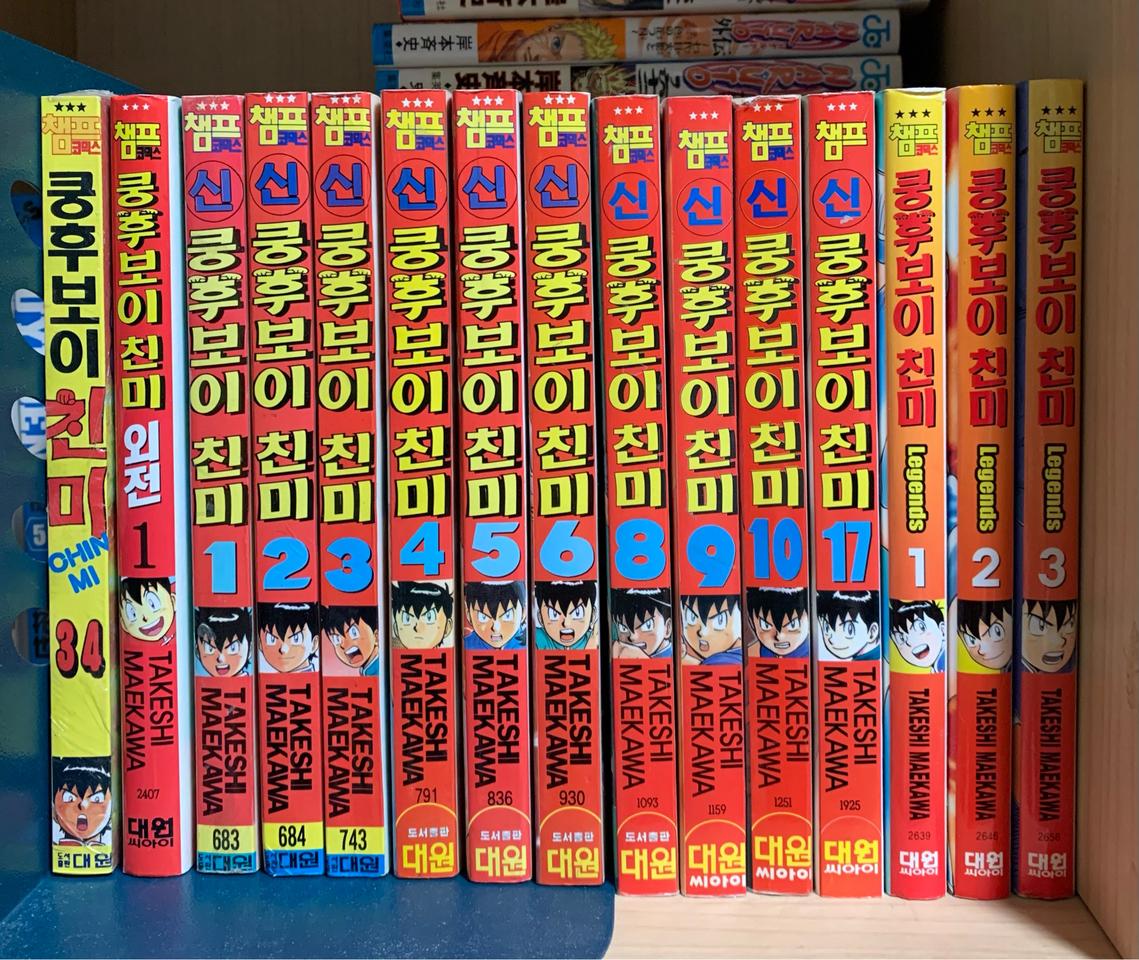 [만화책] 쿵후보이친미