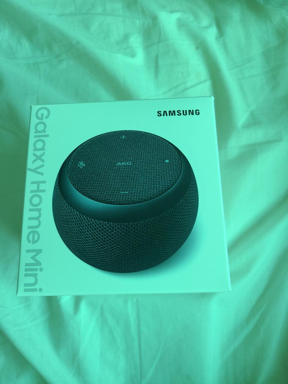삼성갤럭시 홈 미니