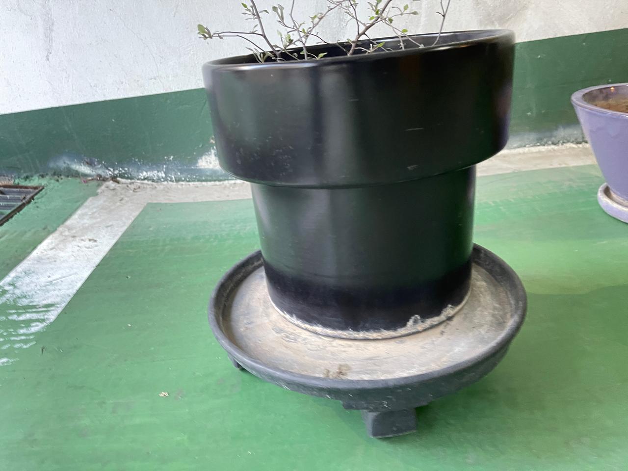 화분 처리(나눔)