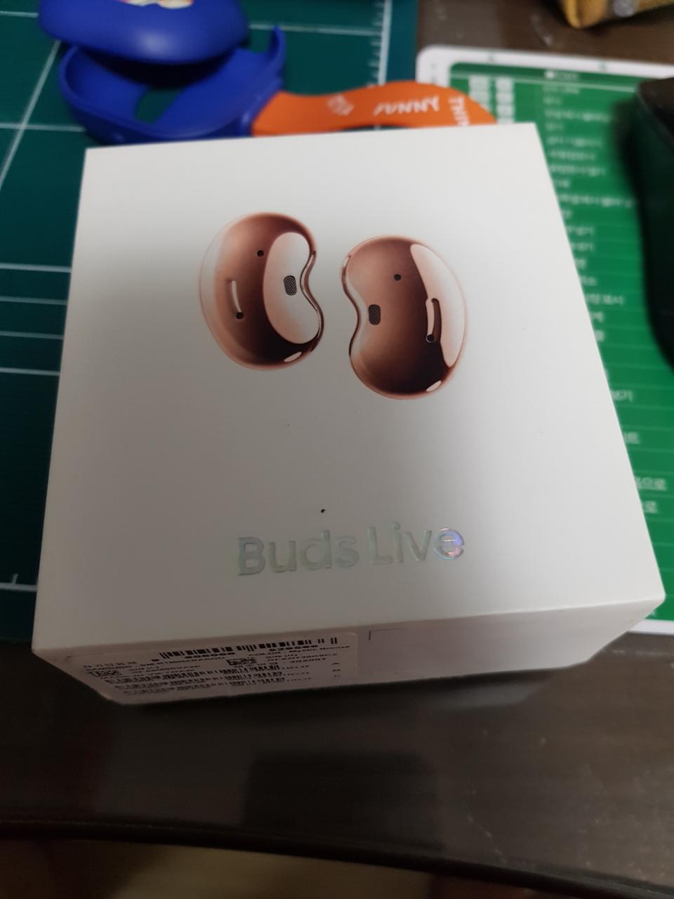 갤럭시 버즈 라입.