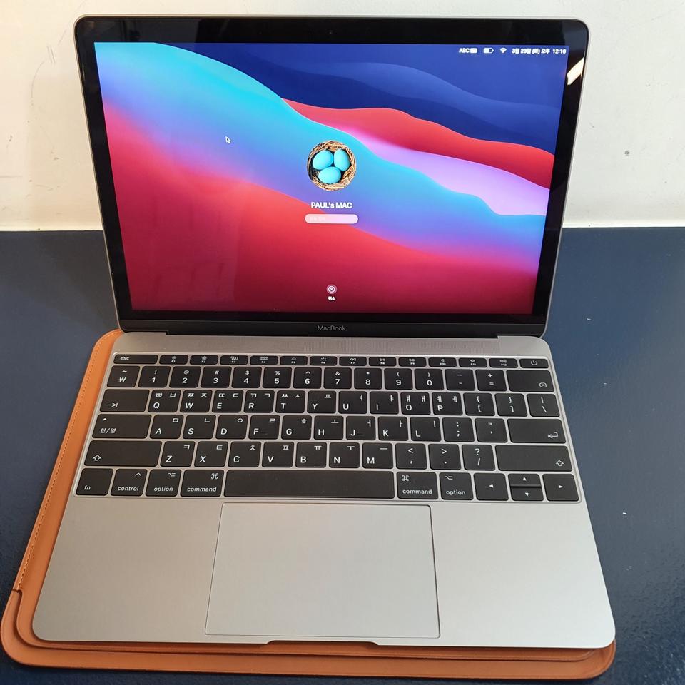맥북 12인치 / i7 / 500 ssd / RAM 16gb / 스그 / 풀박