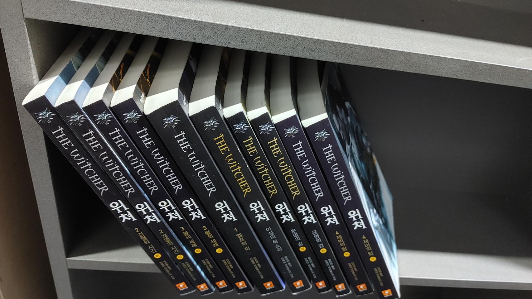 위쳐(안제이사프콥스키)