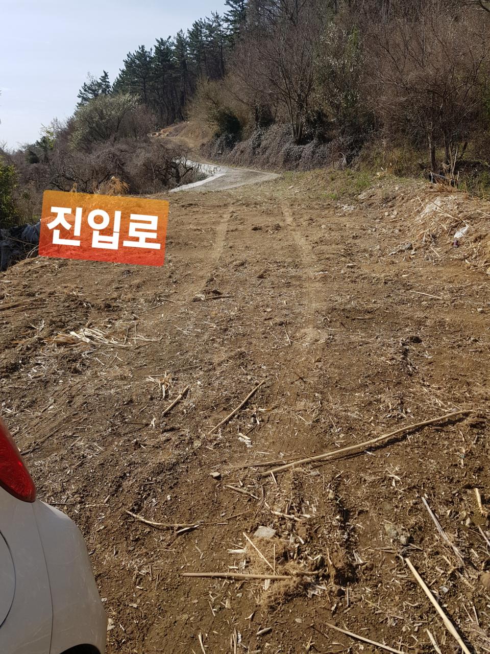 밀양 205평 땅 급매합니다