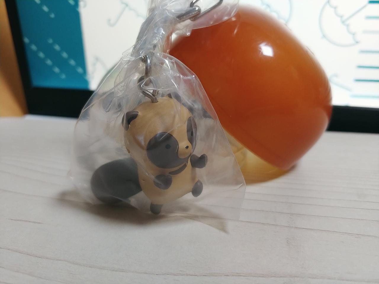 너구리랑 여우랑 - 너구리 키링