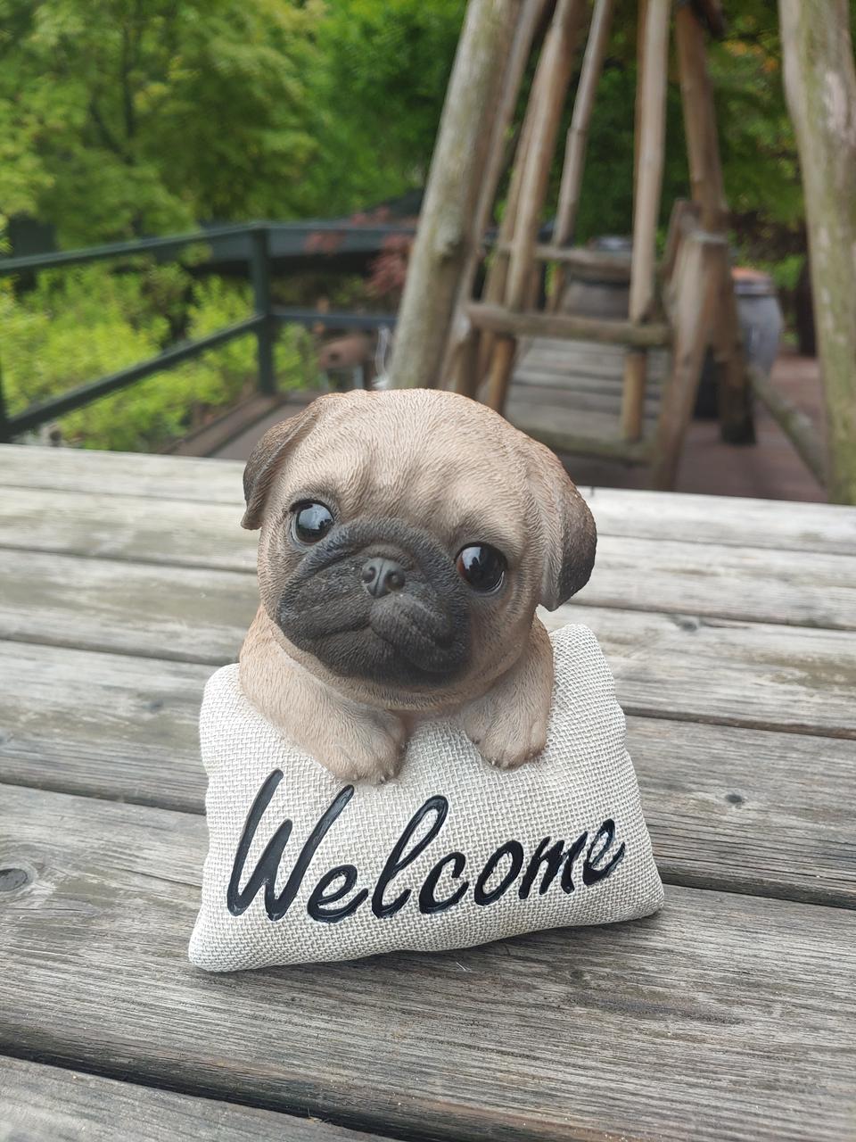 웰컴쿠션 강아지