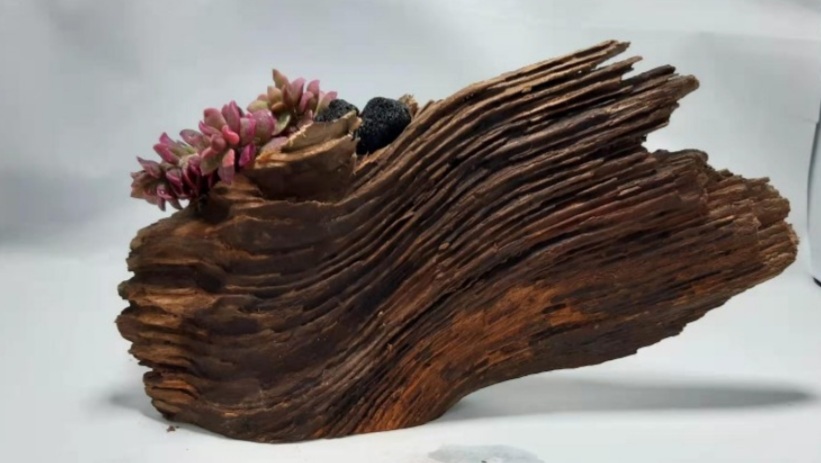 고목나무 화분  팝니다