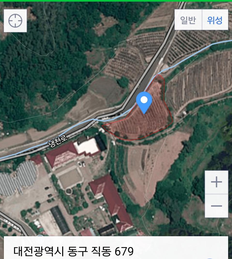 대전시 직동 밭