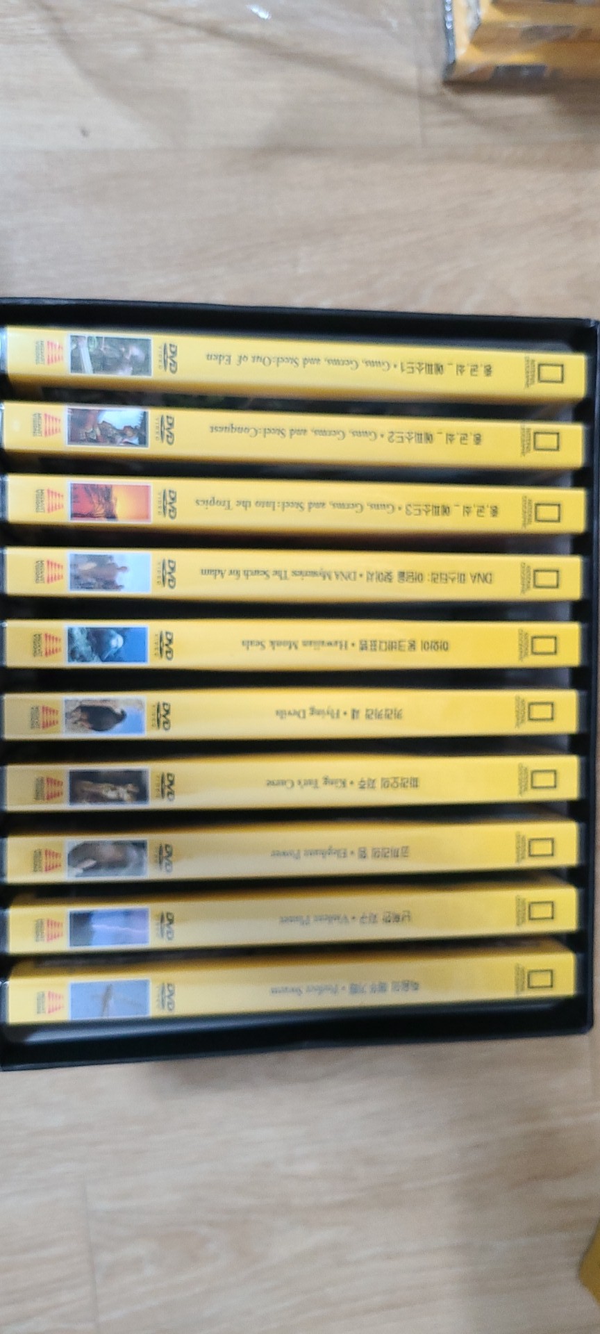 자연과 환경 10종 세트 새제품