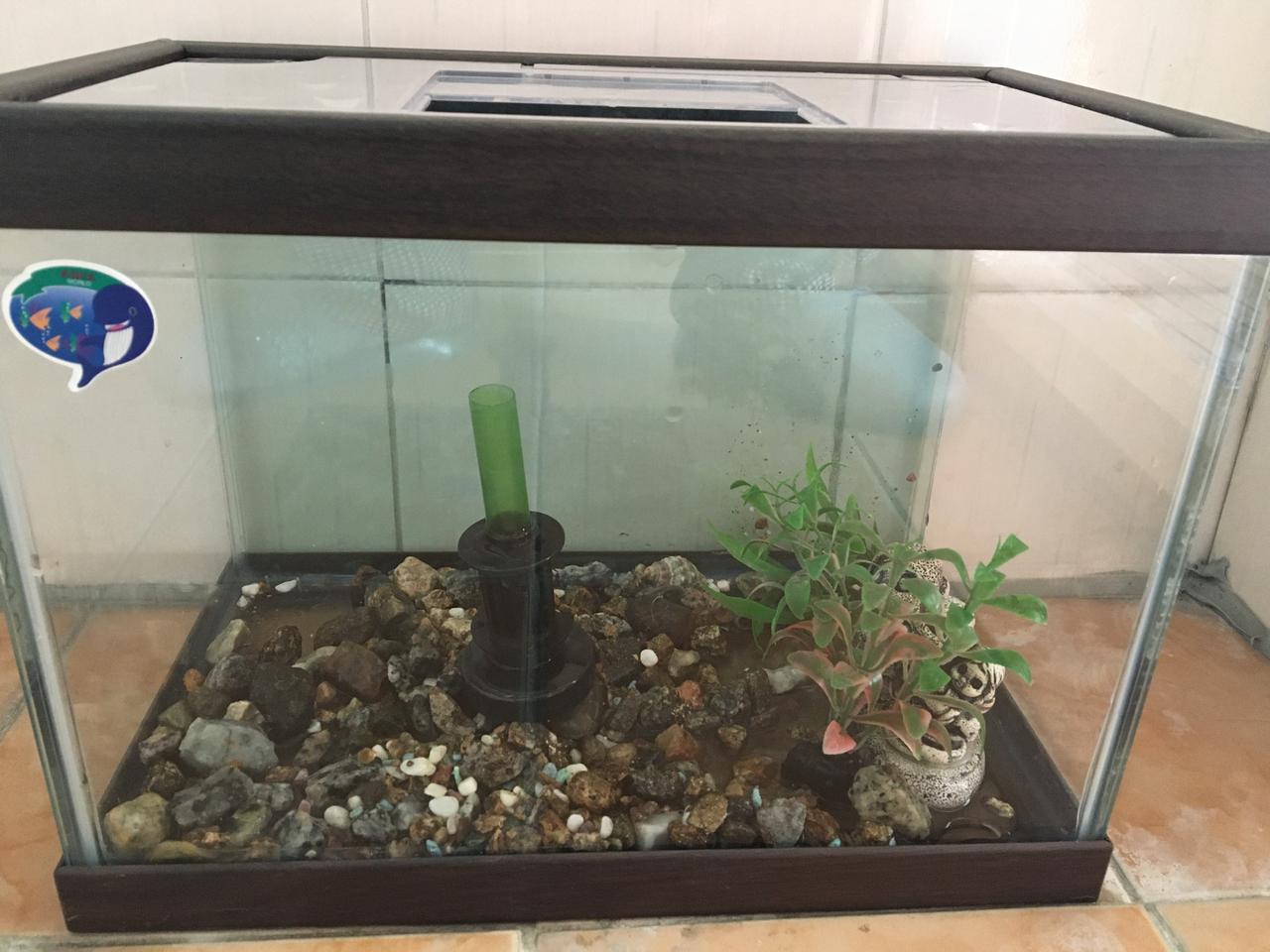 어항(에어펌프포함) 32*24*19.5사이즈