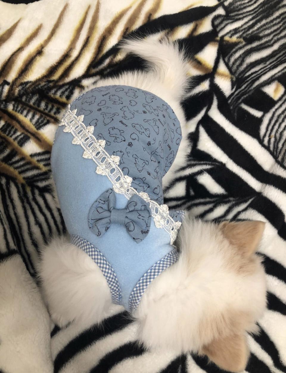 제가만든 핸드메이드 강아지옷(s사이즈)