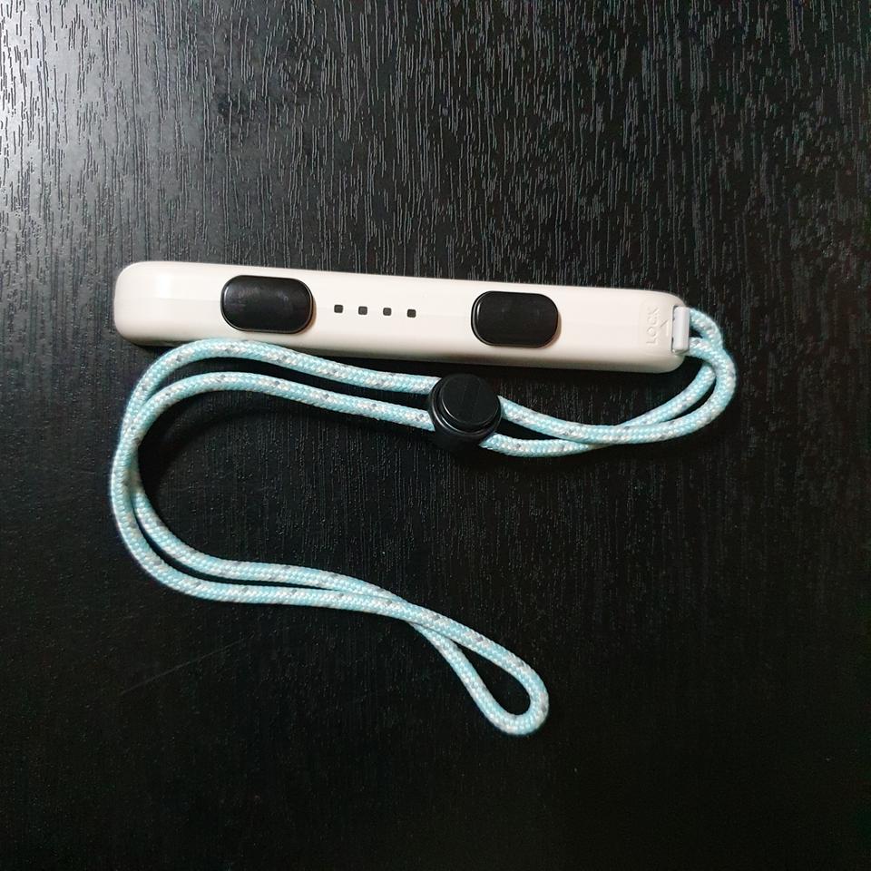 [스위치] 동숲 조이콘 스트랩