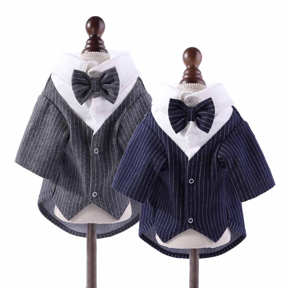 강아지 애견 정장 턱시도 생일 웨딩 사진 촬영