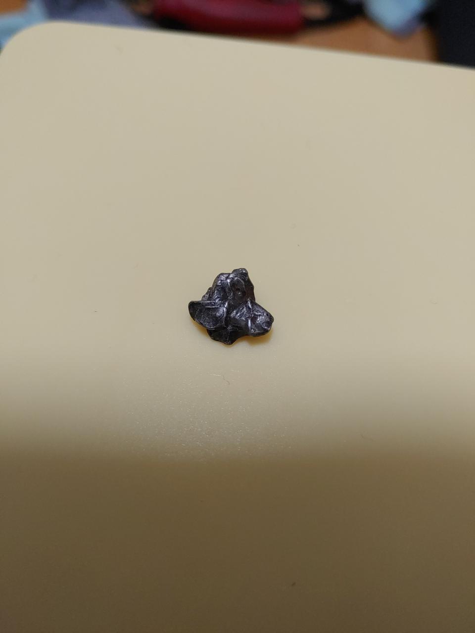 캄포델 시엘로 철 운석 판매합니다